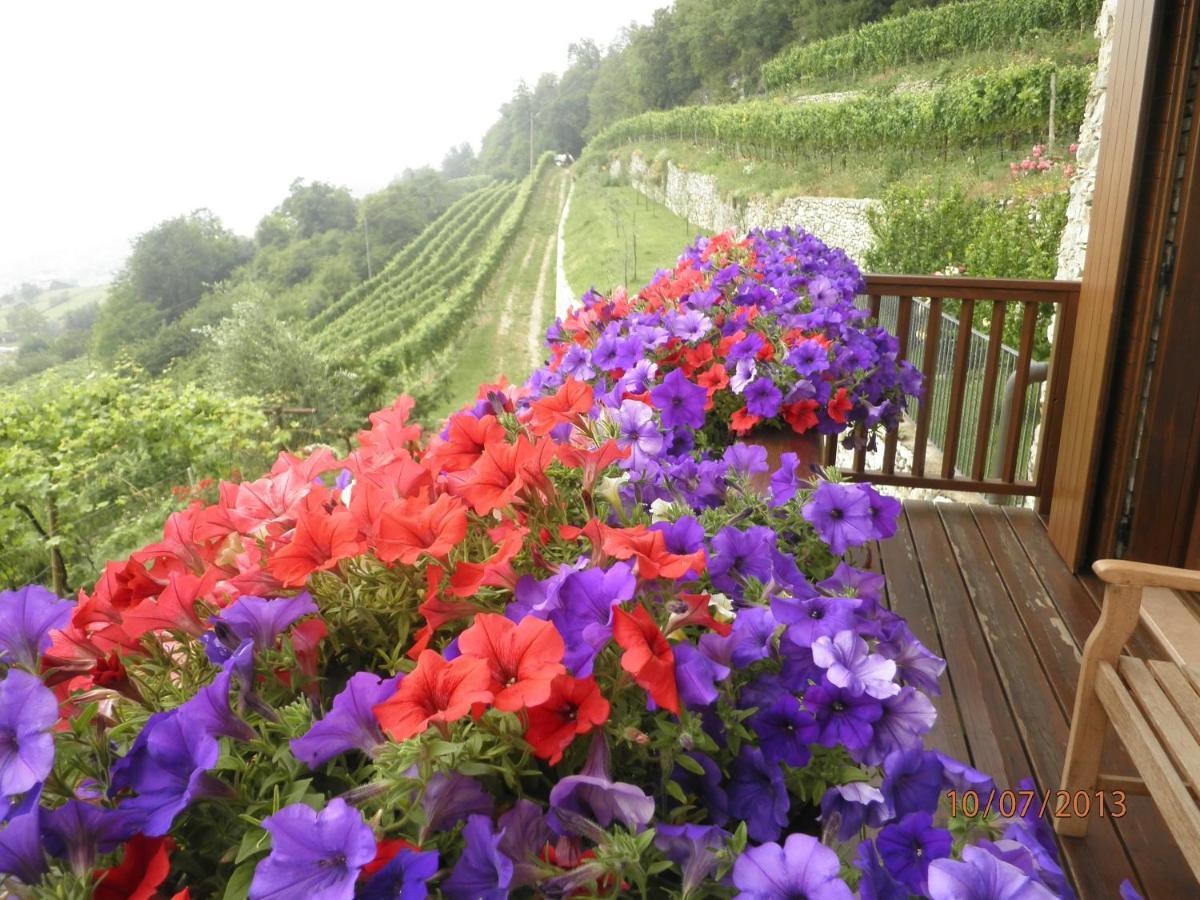 B&B Al Ghiro Villa Lagarina 部屋 写真